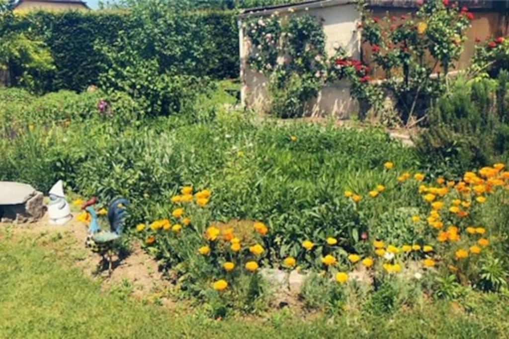 Apartamento Belle Maison Familiale A La Campagne Saint-Girod Exterior foto