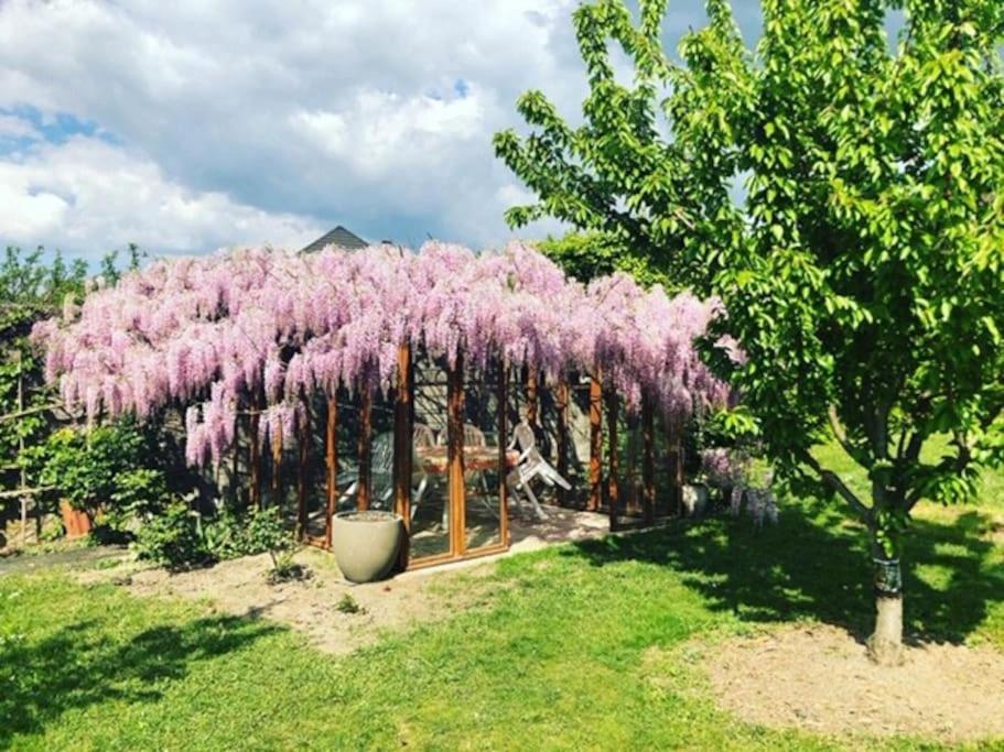 Apartamento Belle Maison Familiale A La Campagne Saint-Girod Exterior foto